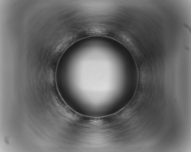 X0000102820457200808181250