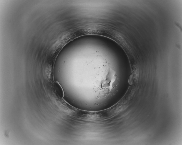X0000102820458200808181250