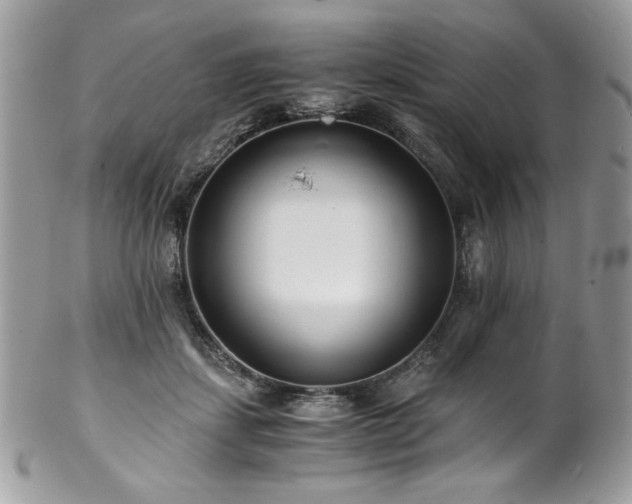 X0000102820459200808181250