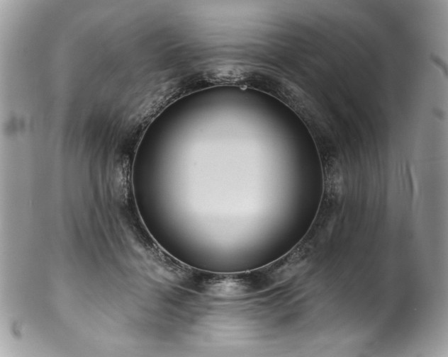 X0000102820460200808181250