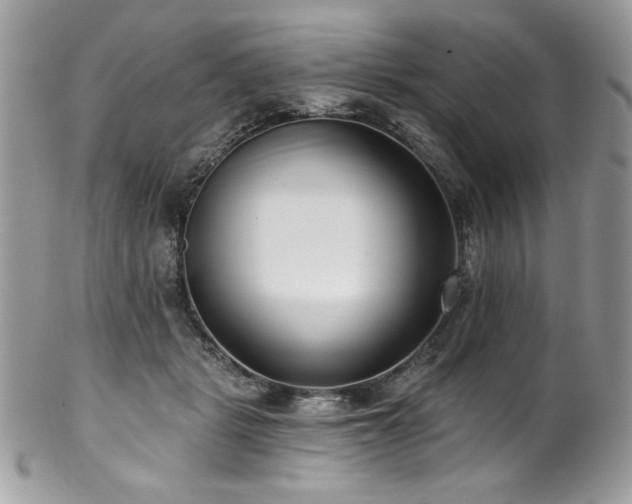 X0000102820461200808181250