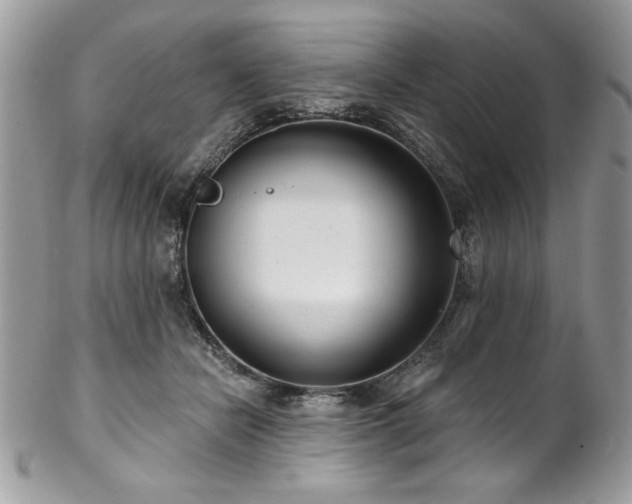 X0000102820462200808181250