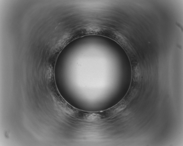 X0000102820463200808181250