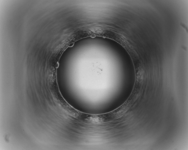 X0000102820464200808181250