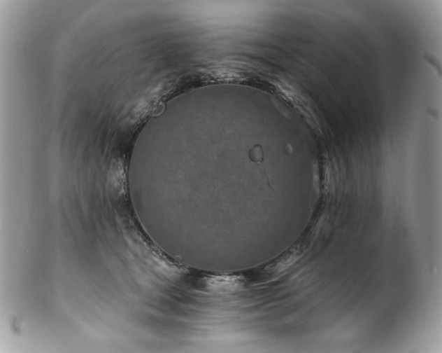 X0000102820465200808181250