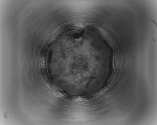 X0000102820467200808181250