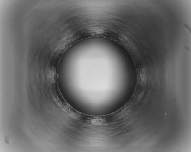 X0000102820468200808181250