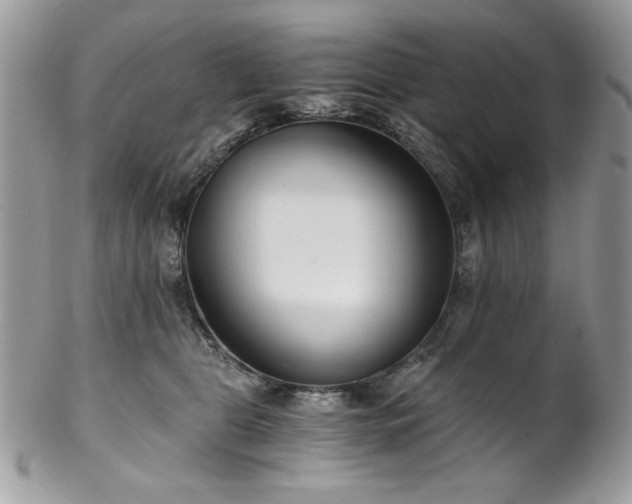 X0000102820469200808181250