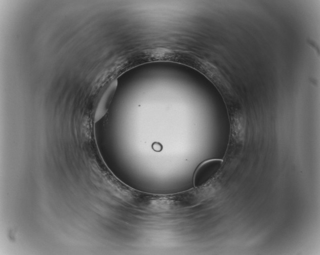 X0000102820470200808181250