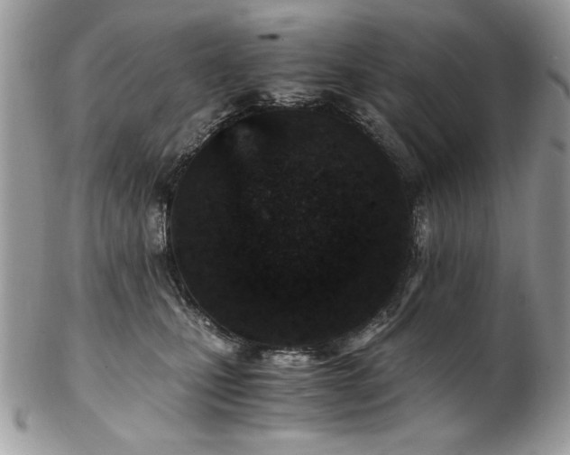 X0000102820471200808181250