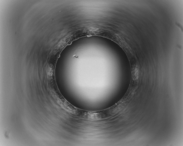 X0000102820472200808181250