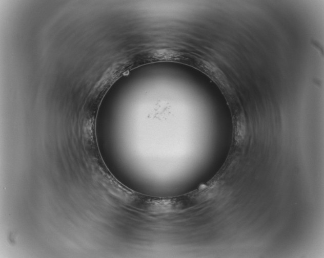 X0000102820473200808181250