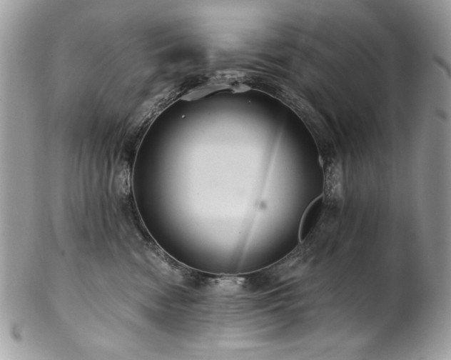 X0000102820474200808181250