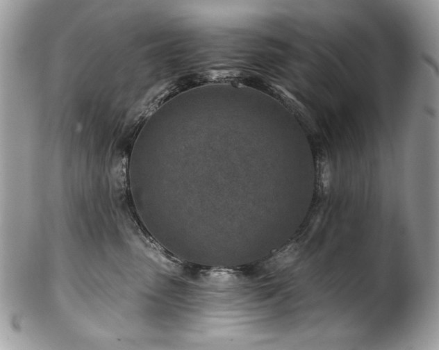 X0000102820475200808181250