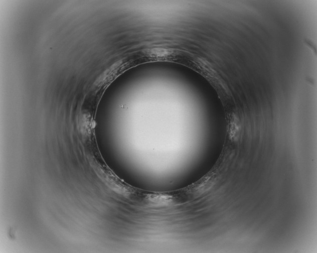 X0000102820476200808181250