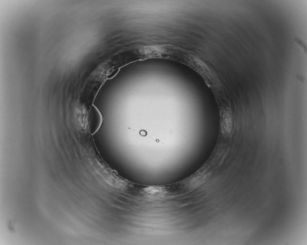 X0000102820477200808181250