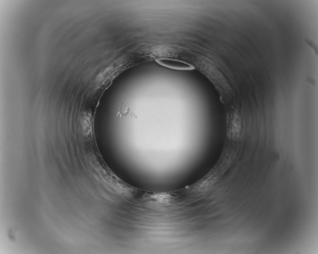 X0000102820478200808181250