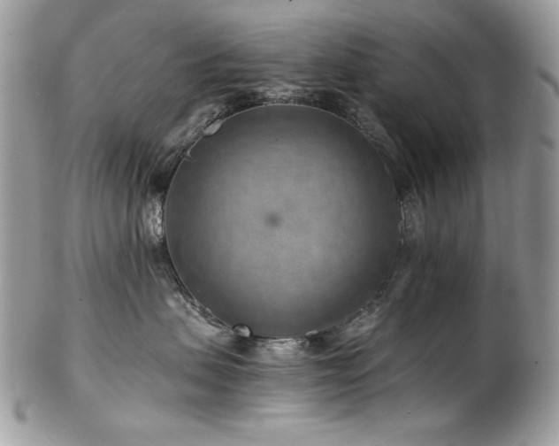 X0000102820479200808181250