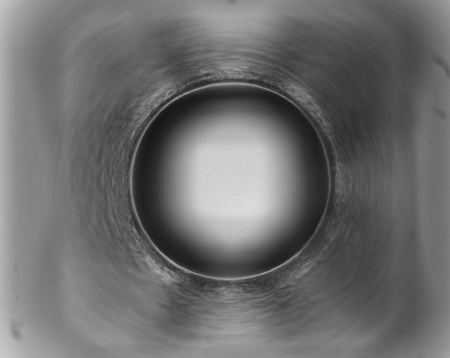 X0000102820481200808181249