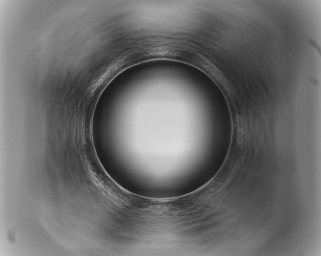 X0000102820482200808181249