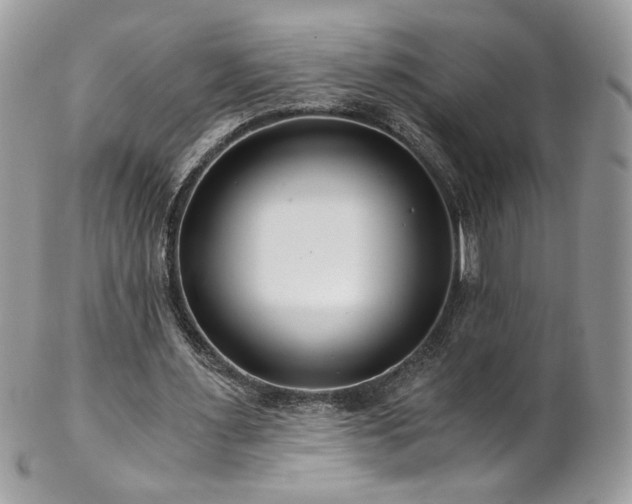 X0000102820483200808181249