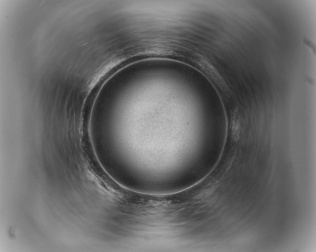 X0000102820484200808181249