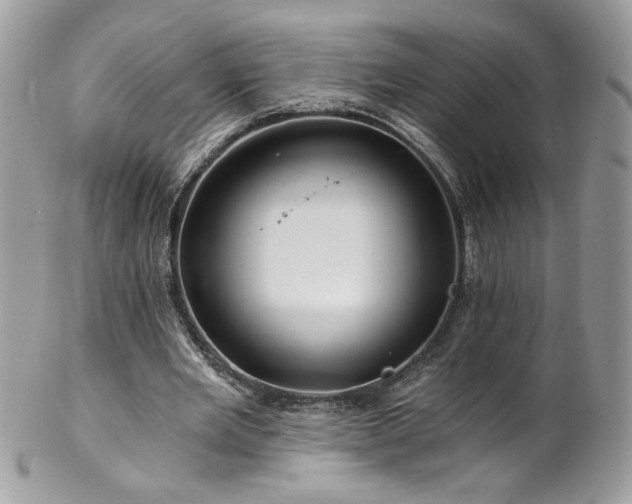 X0000102820485200808181249