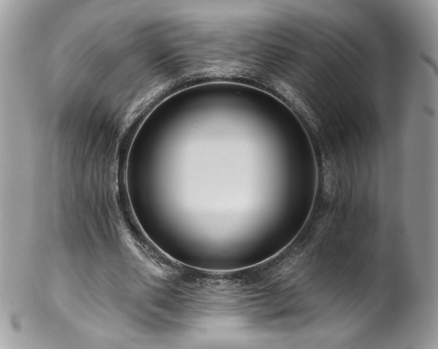 X0000102820486200808181249