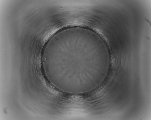 X0000102820487200808181249
