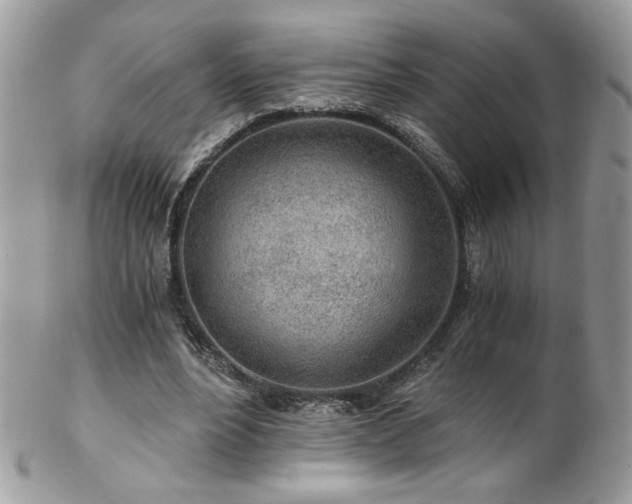 X0000102820488200808181249