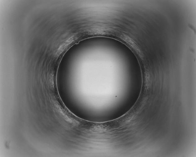 X0000102820489200808181249