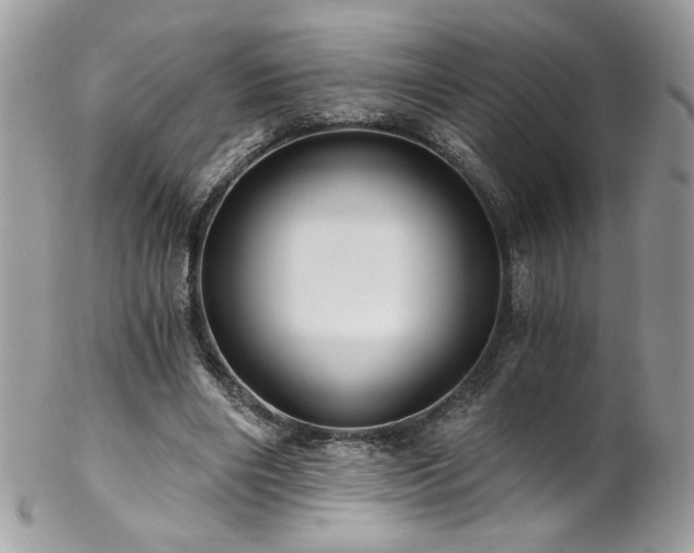 X0000102820490200808181249