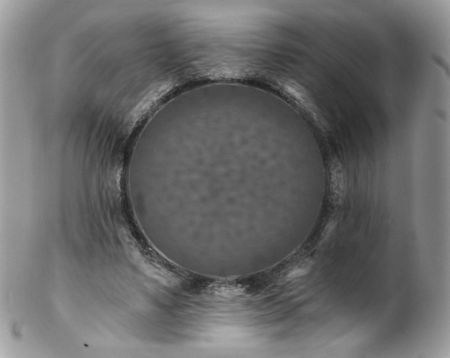 X0000102820491200808181249