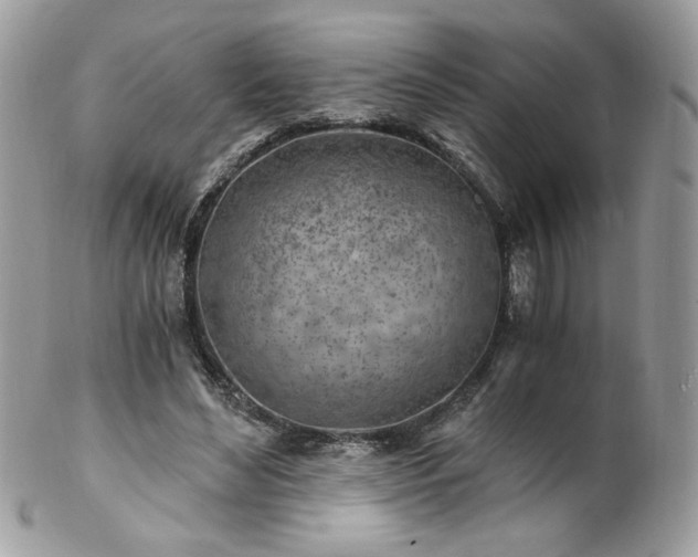 X0000102820492200808181249