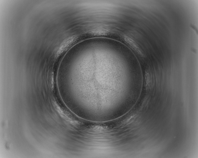 X0000102820494200808181249