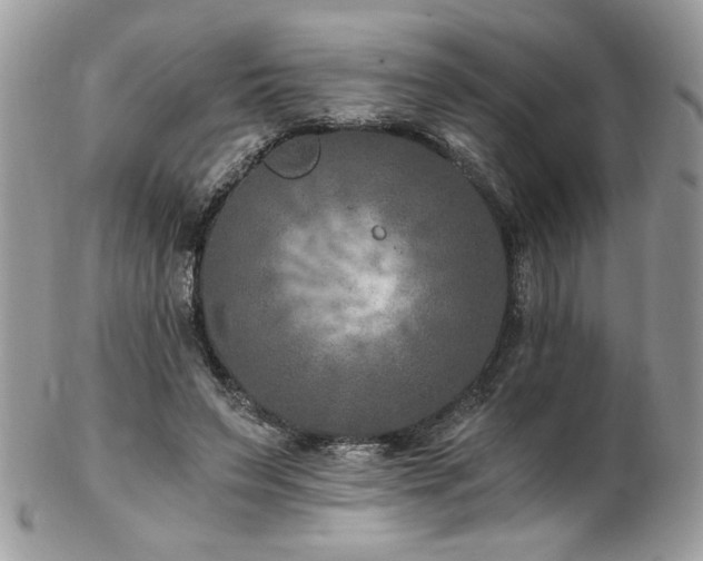 X0000102820495200808181249