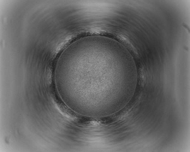 X0000102820496200808181249