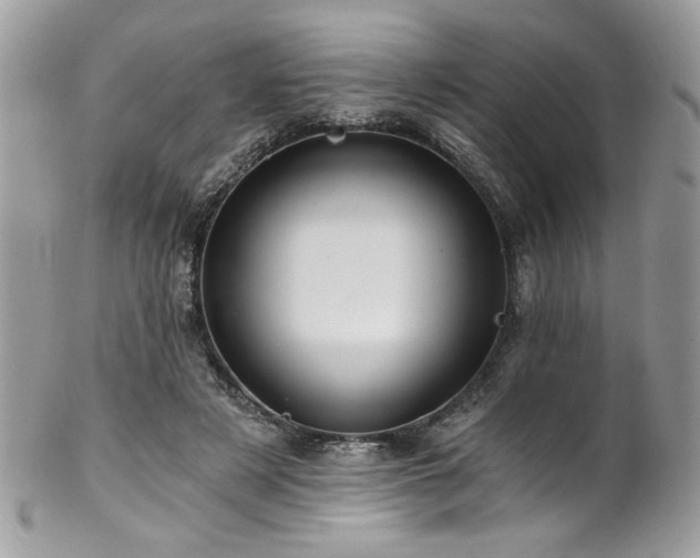 X0000102820497200808181249