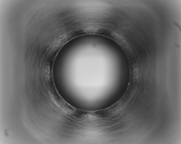 X0000102820498200808181249