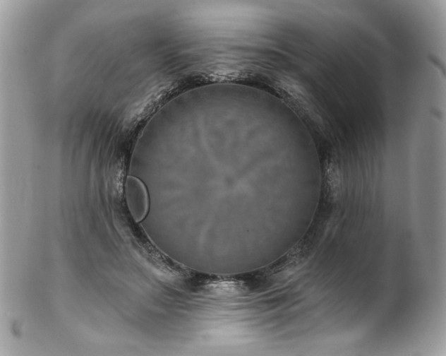 X0000102820499200808181249
