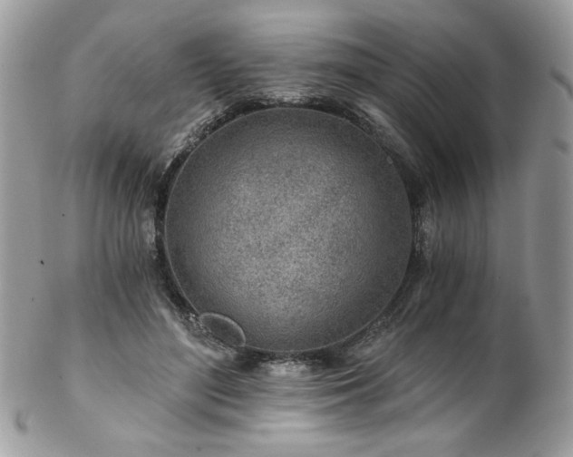 X0000102820500200808181249