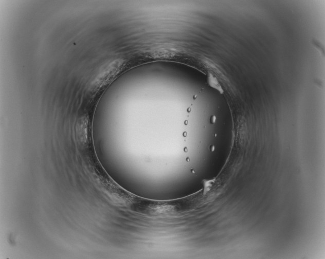 X0000102820501200808181249