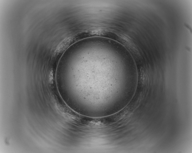X0000102820502200808181249