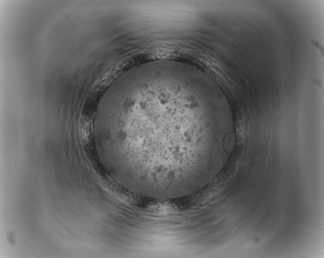 X0000102820503200808181249