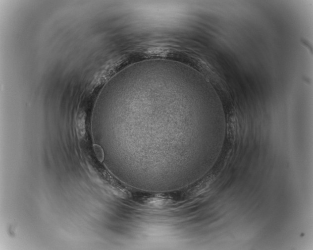 X0000102820504200808181249