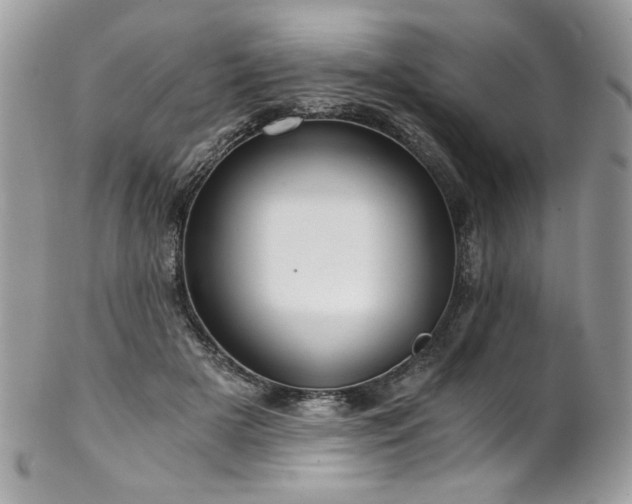 X0000102820505200808181249