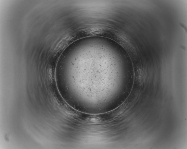 X0000102820506200808181249