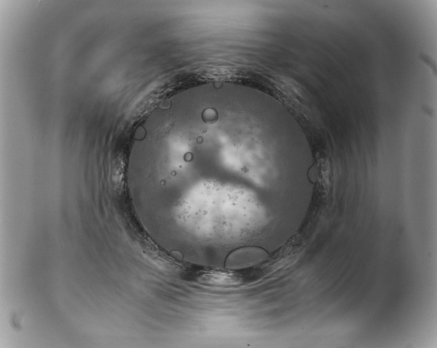 X0000102820507200808181249