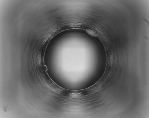 X0000102820508200808181249