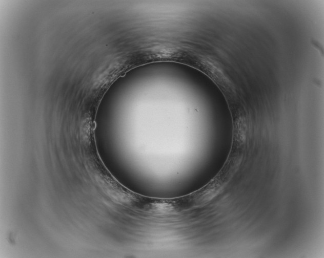 X0000102820509200808181249